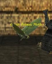 Giant Poison Moth